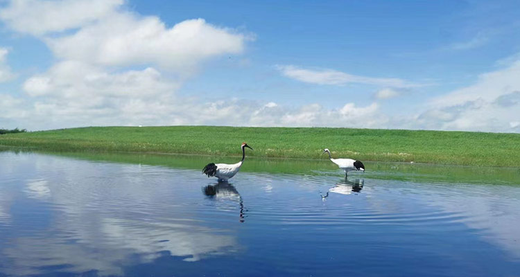 氫能產(chǎn)業(yè)有序發(fā)展助力中國(guó)經(jīng)濟(jì)復(fù)蘇！